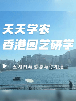 与香港园艺学会联合举办香港园艺研学，专业园境师带队讲解。